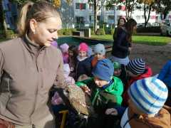 dravci-mš-peškova-3