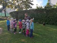 dravci-mš-peškova-4