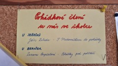 Knihobudka (autor MŠ Peškova)