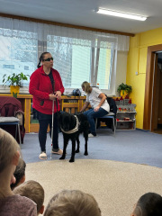 29ef7037-4c3d-4306-84d1-be20538fa92a