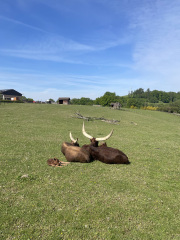 farmapark5