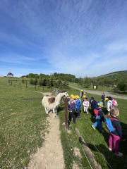 farmapark4