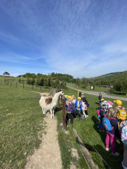 farmapark7