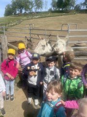 farmapark12
