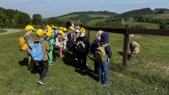 farmapark31