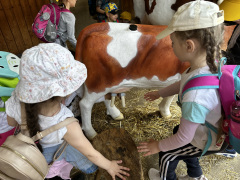 farmapark23