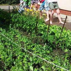 13480044_10206229824495909_73759769_n